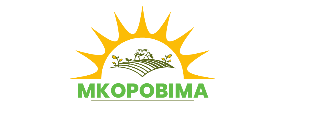 MKOPOBIMA SHAMBANI
